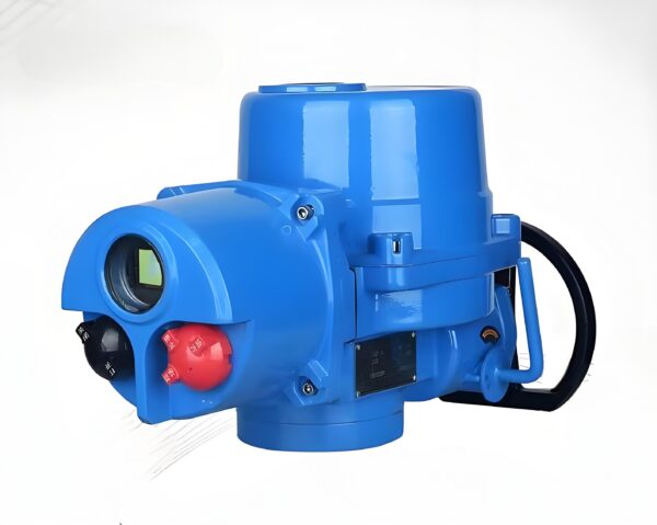 Pneumatic Actuator