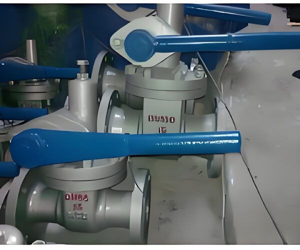 Blowdown Valve